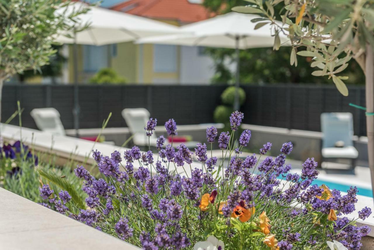 Apartment Franica Zadar